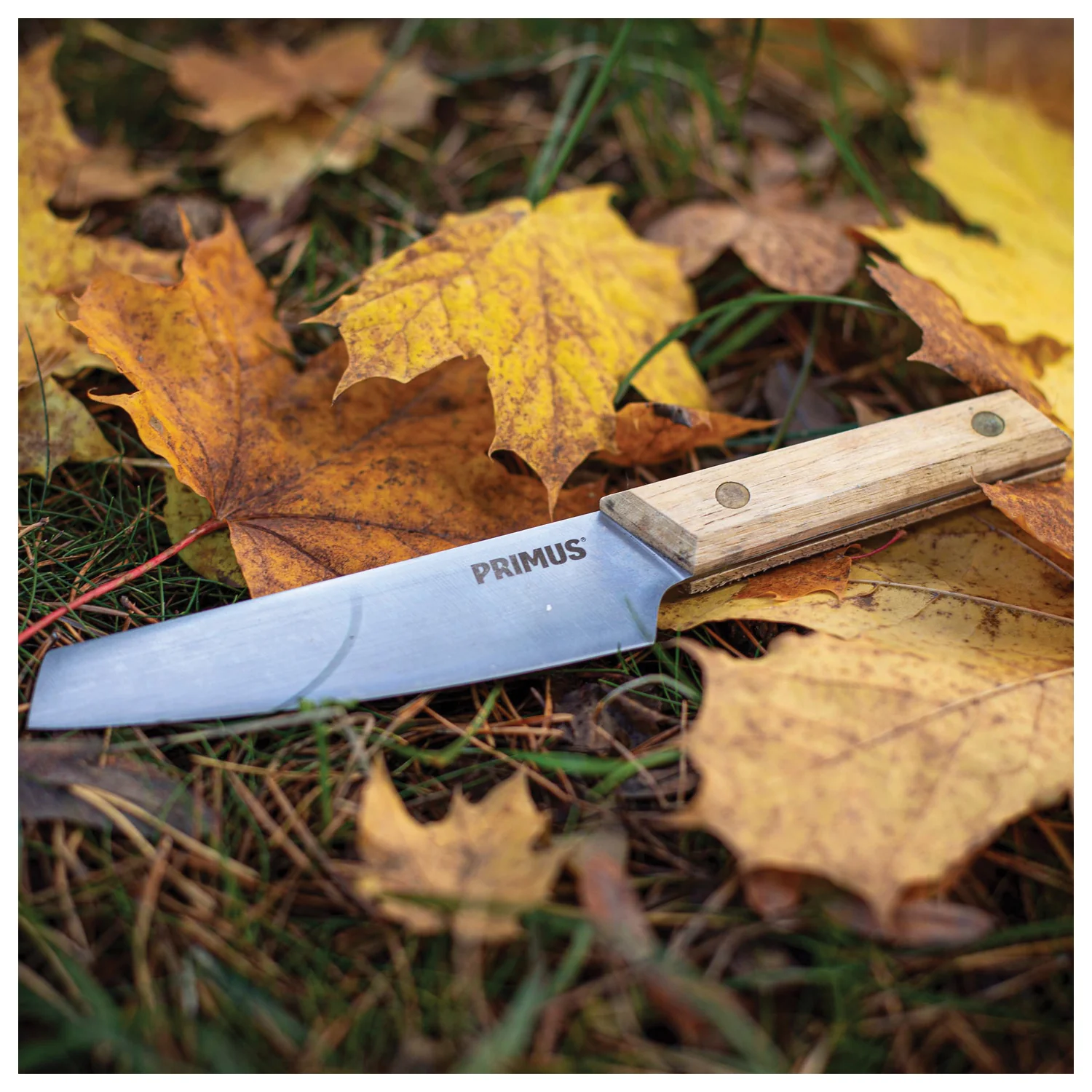 Campfire Knife - Image 7