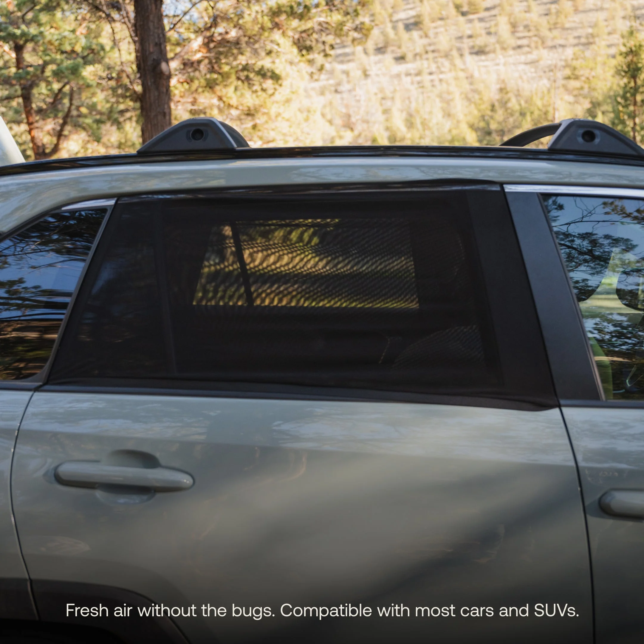 Car Window Screens - Image 3
