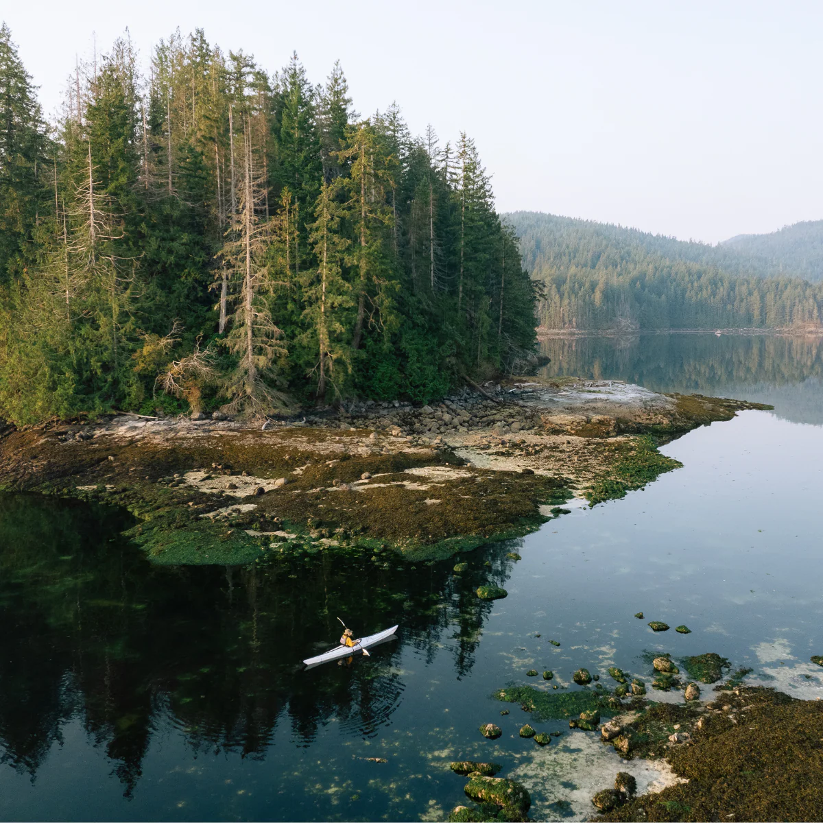 Coast XT - Image 16