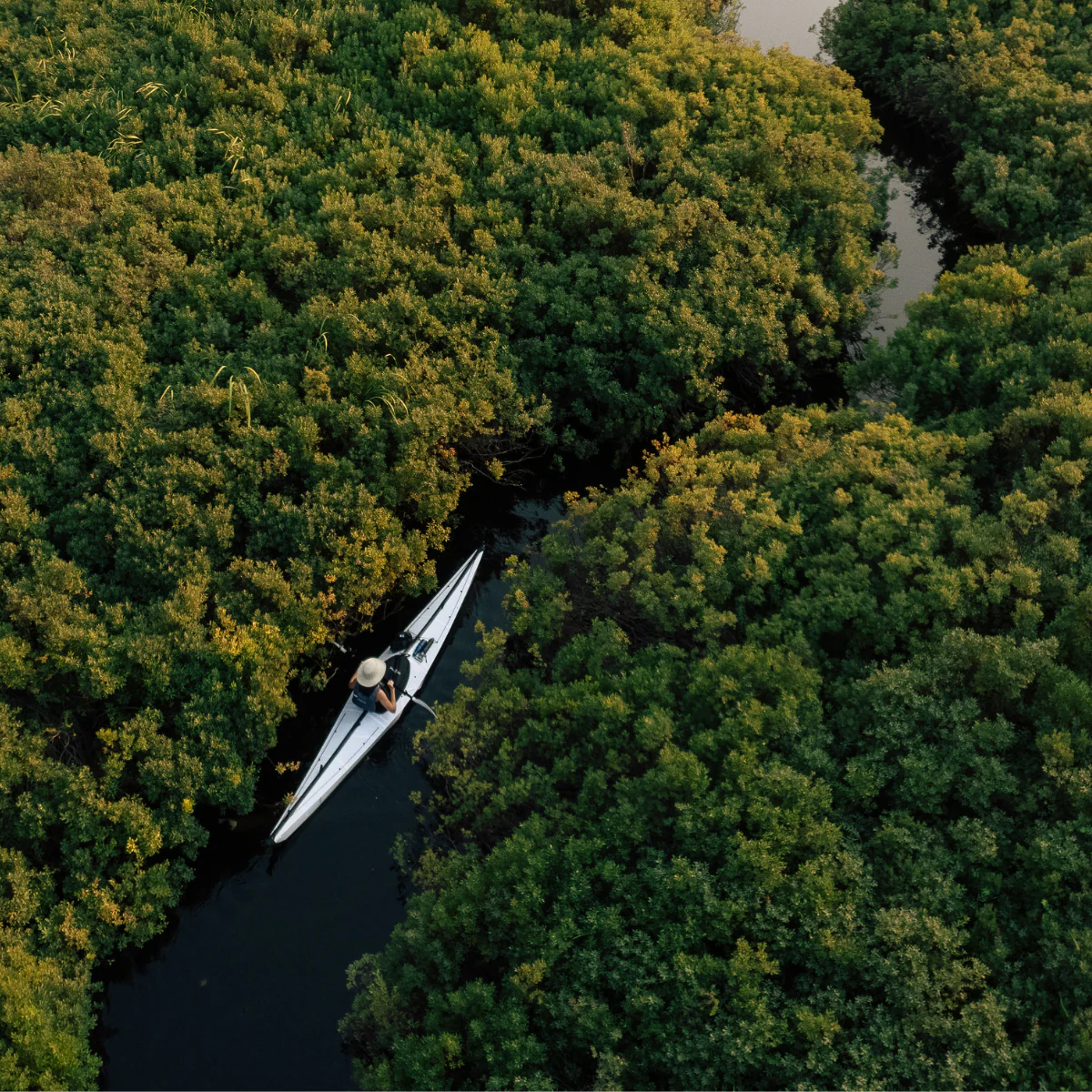 Coast XT - Image 18
