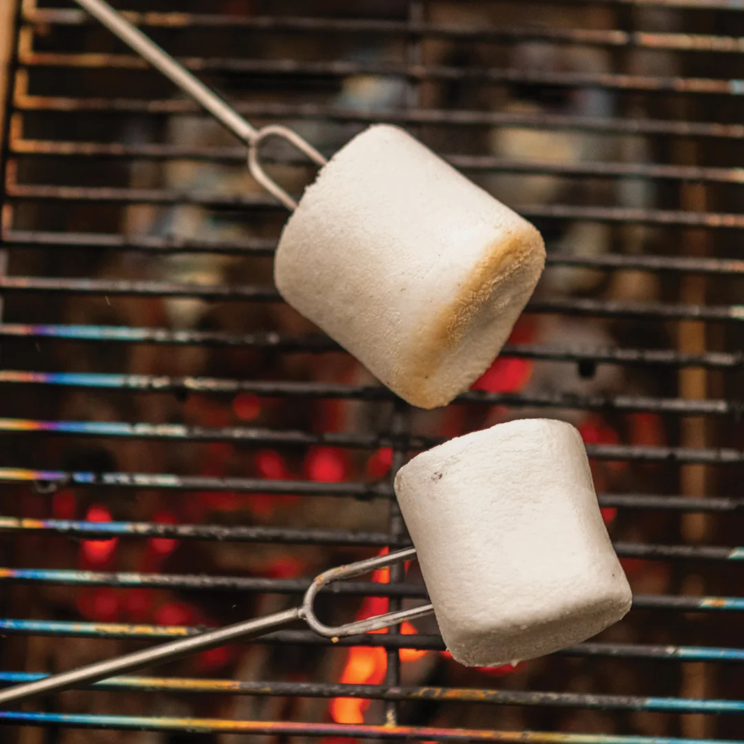 Roasting Fork - 2 Pack - Image 4